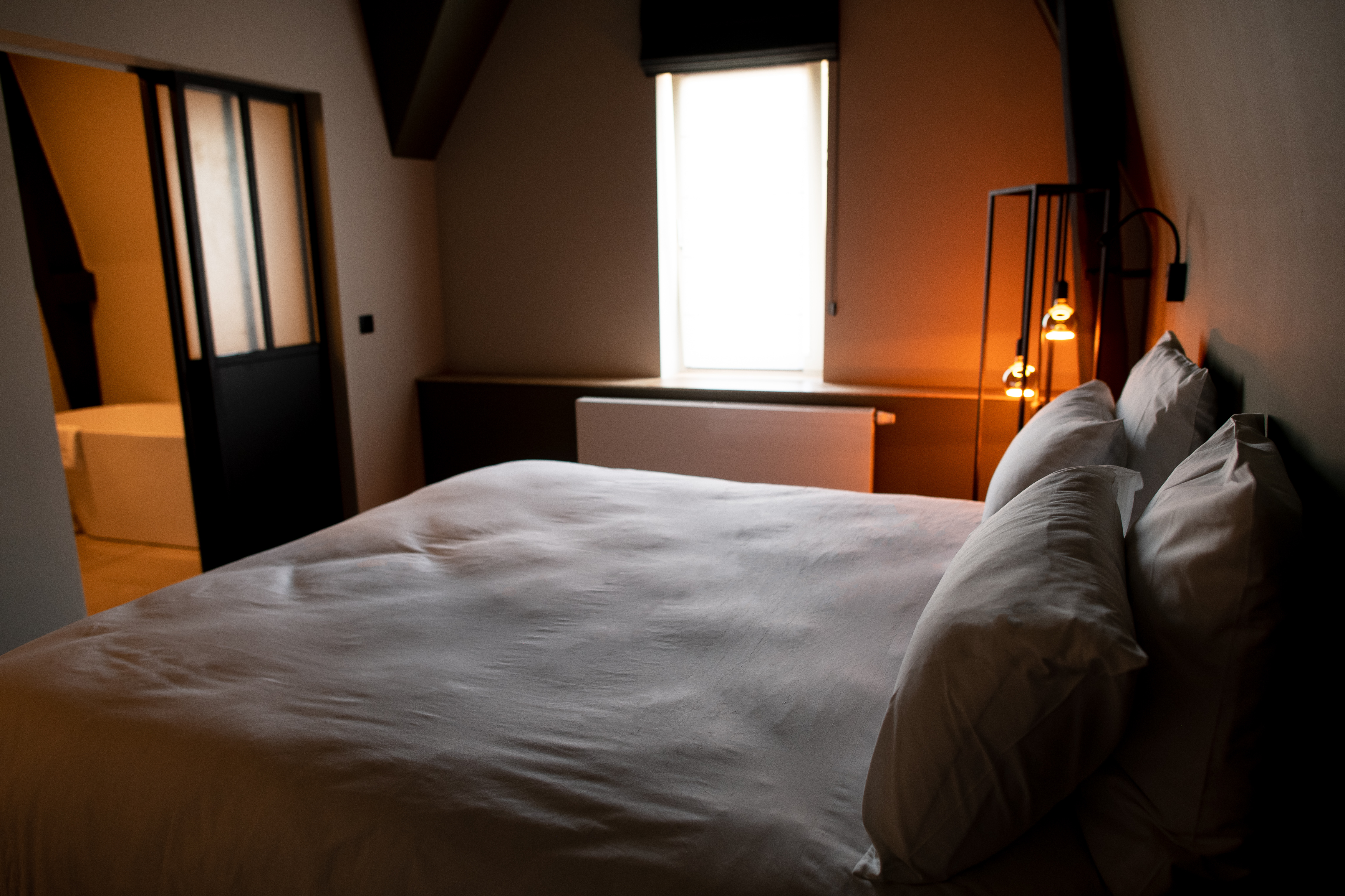 Une chambre avec un lit double
